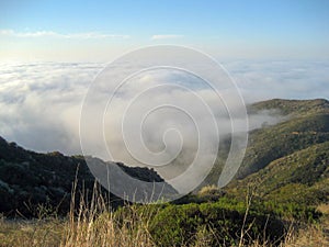 View from Santa Monica Conservancy with Marine Layer