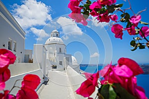 View of Santorini and flowers