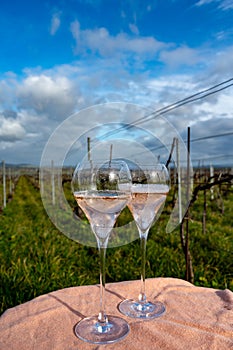 View on Sauternes village and vineyards, making of sweet dessert Sauternes wines from Semillon grapes affected by Botrytis cinerea