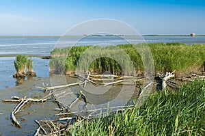 View of the Scardovari lagoon, Po river delta, Adriatic sea, It