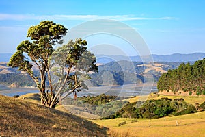 A view on the scenic Coromandel Peninsula, New Zealand