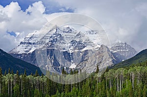 View of the scenic Robson mountain and pine forest in summer, Canadian Rocky mountains, British Columbia