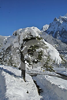 View of scenic winter landscape in the Bavarian Alps