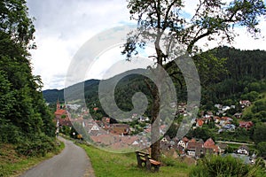 View of Schiltach from the top of the hill.