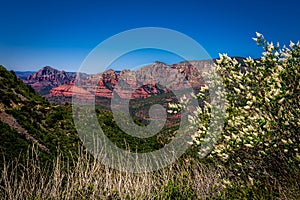 View from Schnebly Hill Road in Sedona, Arizona