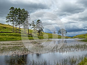 A view of School Knot Tarn: a small body of water in the English Lake District