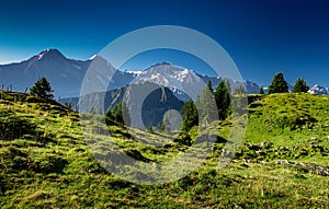 view from Schynige Platte