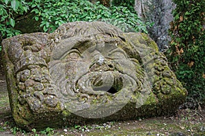 View of sculpture amidst the vegetation in the Park of Bomarzo.