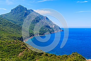 A view of sea bay with green mountain landscape on Corsica island, France