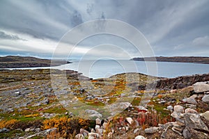 View of the sea bay and rocky shores. Far North, Barents Sea in Russia