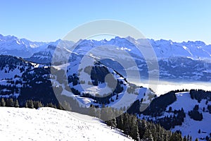 View of the sea of clouds from the Rigi Kulm in winter, Lucerne, Switzerland