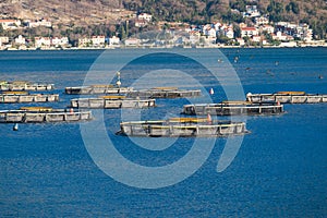 View of sea fish farm cages and fishing nets, farming dorado, sea bream and sea bass, feeding the fish a forage, with marine