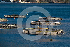 View of sea fish farm cages and fishing nets, farming dorado, sea bream and sea bass, feeding the fish a forage, with marine