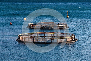 View of sea fish farm cages and fishing nets, farming dorado, sea bream and sea bass, feeding the fish a forage, with marine