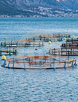 View of sea fish farm cages and fishing nets, farming dorado, sea bream and sea bass, feeding the fish a forage, with marine