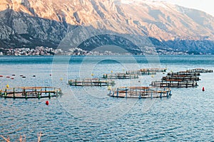 View of sea fish farm cages and fishing nets, farming dorado, sea bream and sea bass, feeding the fish a forage, with marine