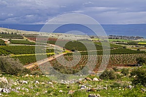 View of sea of Galilee Golan Heights and fields