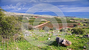 View of sea of Galilee Golan Heights and fields Israel