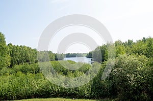 View on a sea in the middle of a forest in geeste emsland germany