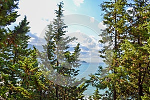 View of the sea from the mountain, where pine trees grow. Montenegro. The Budva Riviera. Becici