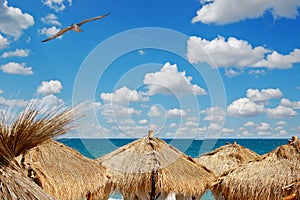 View of sea over the palm leaves roofs