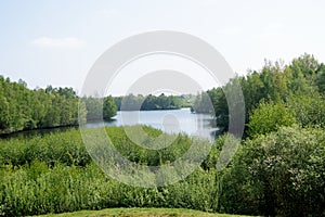 View on a sea surrounded by trees in geeste emsland germany