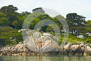 View from the sea to the greeny cliffs with exotic trees, moss and blue sky.