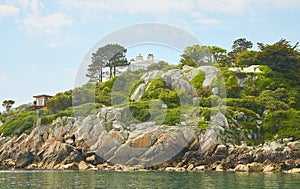 View from the sea to the greeny cliffs with exotic trees, moss and blue sky.