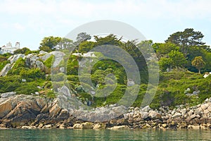 View from the sea to the greeny cliffs with exotic trees, moss and blue sky.