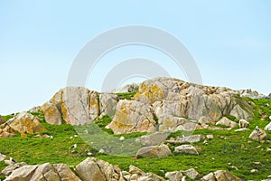 View from the sea to the greeny cliffs with exotic trees, moss and blue sky.