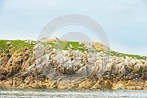 View from the sea to the greeny cliffs with exotic trees, moss and blue sky.