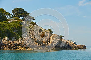 View from the sea to the greeny cliffs with exotic trees, moss and blue sky.