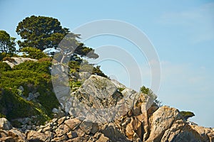View from the sea to the greeny cliffs with exotic trees, moss and blue sky.