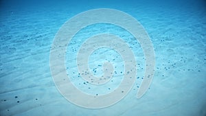 View of the seabed under water. Sandy seabed strewn with small pebbles. Caustic effect in the seabed. Small bubbles move