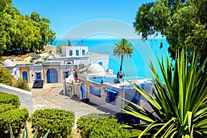 Seaside luxury resort in Sidi Bou Said. Tunisia, North Africa photo