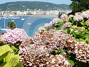 View of the seaside town and flowering plants