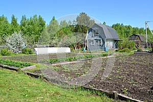 View of the seasonal dacha in the spring afternoon