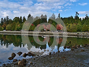 View of the Seawall in Stanley Park, Vancouver, Canada with colorful trees reflected in the clear water of the marina.