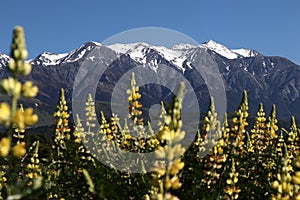 View of Seaward Kaikoura Range in New Zealand, Mountains view