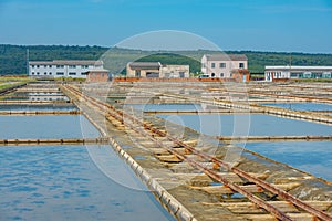 View of the Secovje Saltpans Nature Park in Slovenia