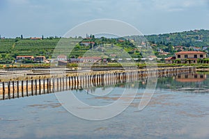 View of the Secovje Saltpans Nature Park in Slovenia