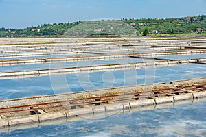 View of the Secovje Saltpans Nature Park in Slovenia