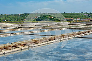 View of the Secovje Saltpans Nature Park in Slovenia