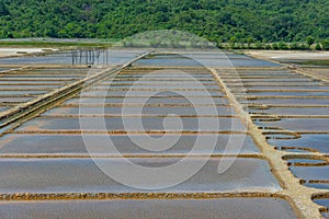 View of the Secovje Saltpans Nature Park in Slovenia