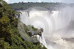 View of a section of the Iguazu Falls, from the Brazil side