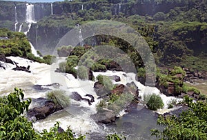 View of a section of the Iguazu Falls, from the Brazil side