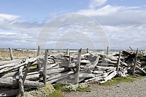 View of Seno Otway - Patagonia - Chile