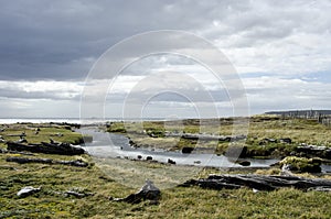 View of Seno Otway - Patagonia - Chile photo