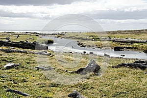 View of Seno Otway - Patagonia - Chile photo