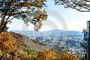 View of Seoul city from overgrown slope of Namsan